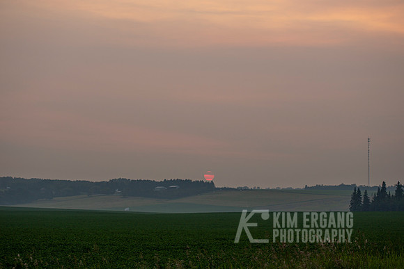 _MG_0319-2
