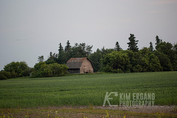 _MG_0328-2