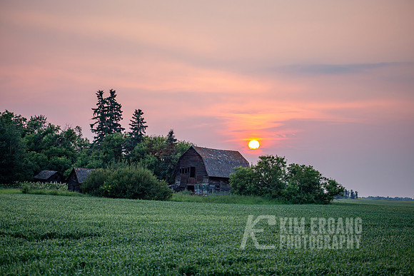 _MG_0330-2