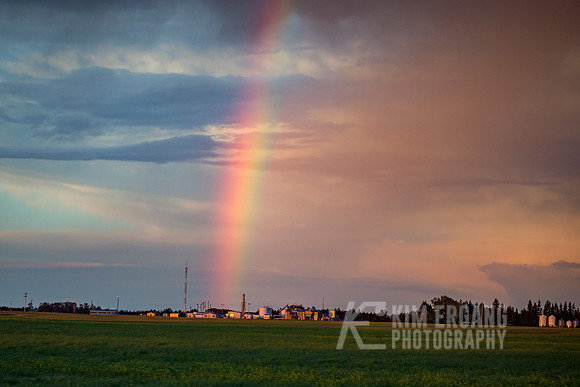 _MG_3865-3
