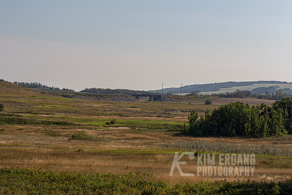 _MG_3008-2