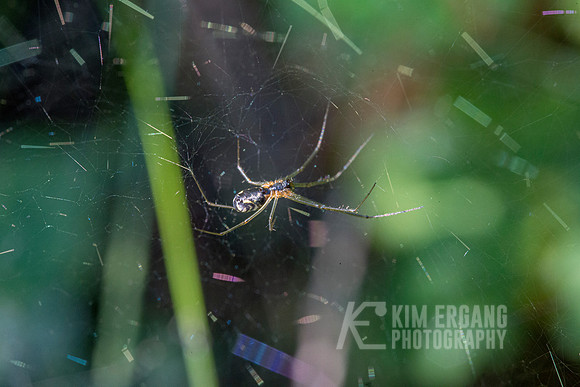 _MG_3061-2
